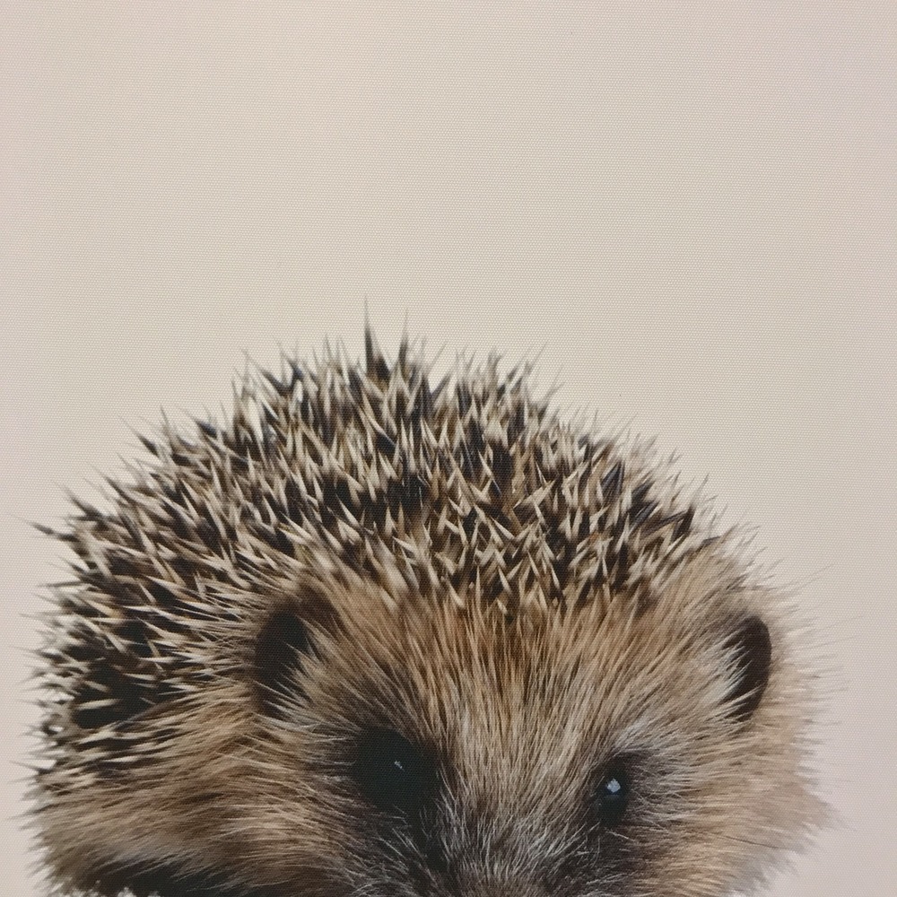 Meet your Posher, Melinda